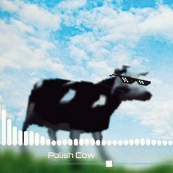 Polish Cow