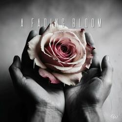 A Fading Bloom