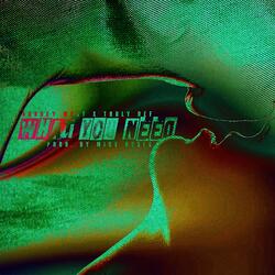What You Need (feat. Truly Def)