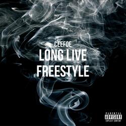 Long Freestyle