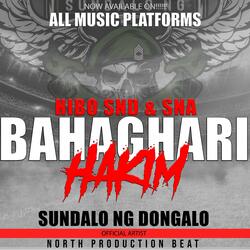 BAHAGHARI | HAKIM