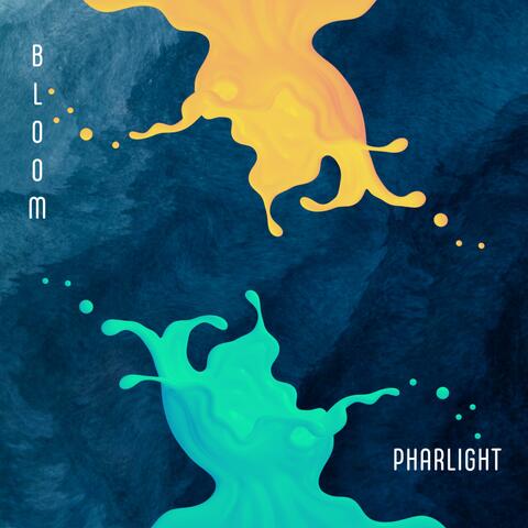 Bloom