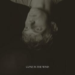 Gone In The Wind