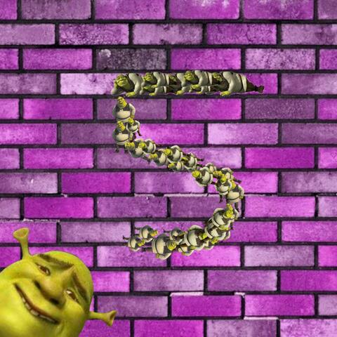 Shrek 5