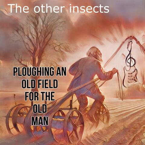 Ploughing an old field for the old man