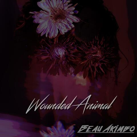 Wounded Animal