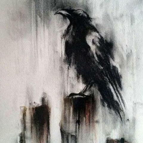 Predilecto