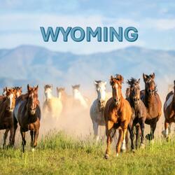 Wyoming