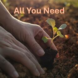 All You Need