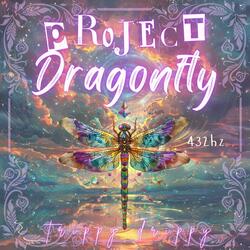 Project Dragonfly