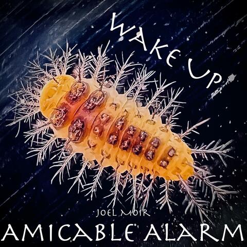 Amicable Alarm