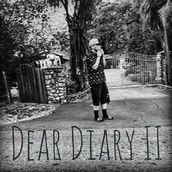 Dear Diary II