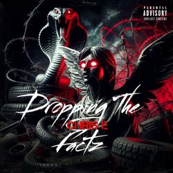 Dropping the Factz