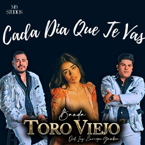 Cada Día Que Te Vas