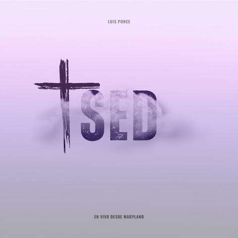 Sed (En vivo) (En vivo)