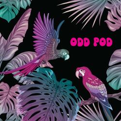 Odd Pod