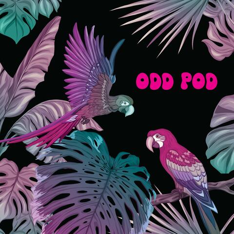 Odd Pod