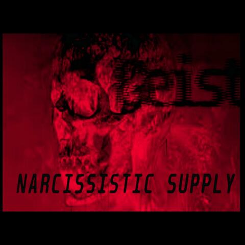 NARCISSISTIC SUPPLY