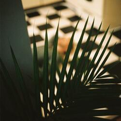 Love You For Today (Live Version)