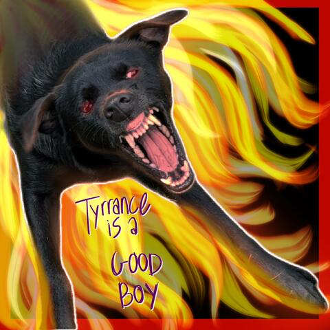 Tyrrance is a Good Boy