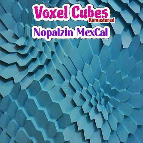 Voxel Cubes
