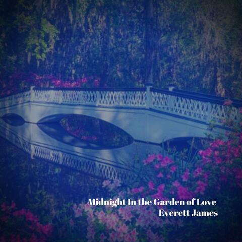Midnight in the Garden of Love