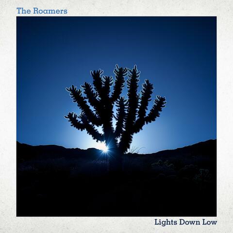 Lights Down Low