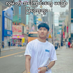 ဆောင်းညရဲ့ဧည့်သည်