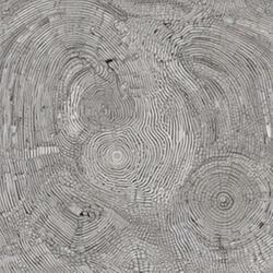 Morphic Fields