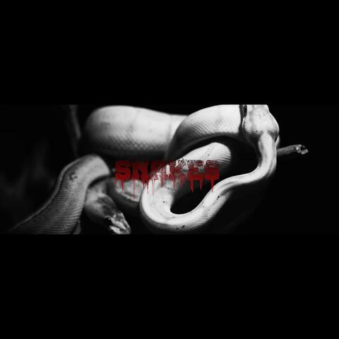 Snakes