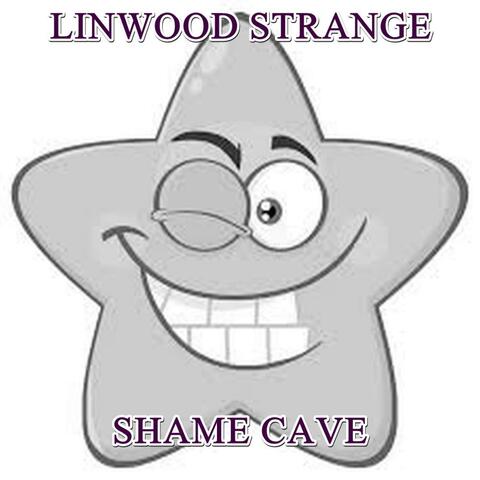 SHAME CAVE
