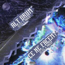ALT DRUM // CE NE FACEM?