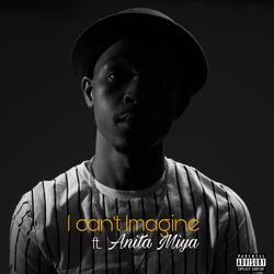 I can't Imagine (feat. Anita Miya)