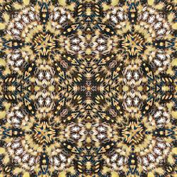 Internet Disconnected F (feat. Suno)