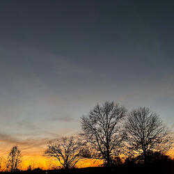 Rot In Peace (R.I.P)