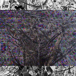 cross wired