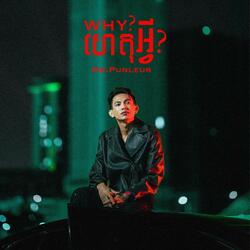 ហេតអ្វី (WHY)