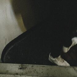 Don't Lack (feat. Drediii2Tactt)