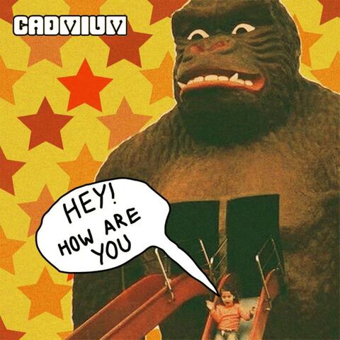 Hey How Are You?