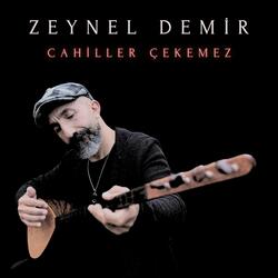 Cahiller Çekemez