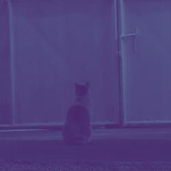 Meditation