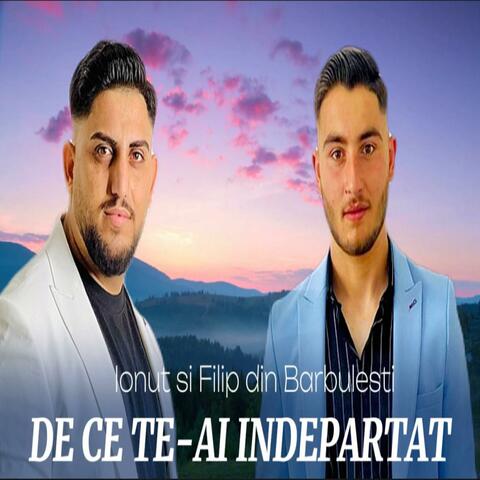 DE CE TE-AI INDEPARTAT