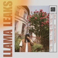 Fall in Line (feat. Donnie Durag)