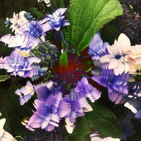 Flowers of Love