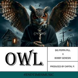 OWL (feat. Bobby Genesis)
