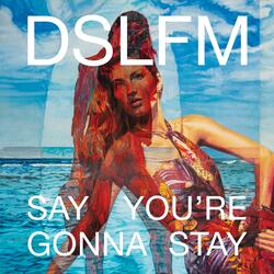 Say You're Gonna Stay