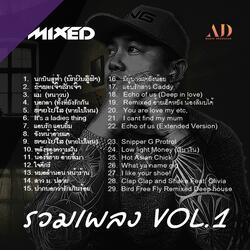 รวมเพลง Mixed Vol.01