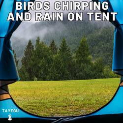 Birds Chirping and Rain on Tent Camping Forest 1 Hour Relaxing Nature Ambient Yoga Meditation Sounds For Sleeping Relaxation or Studying
