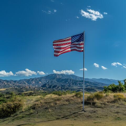 Thank you, Joe (Biden Song)