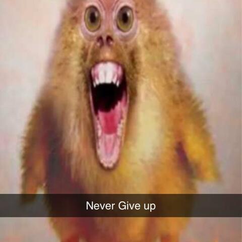 Never Give Up (Deluxe)